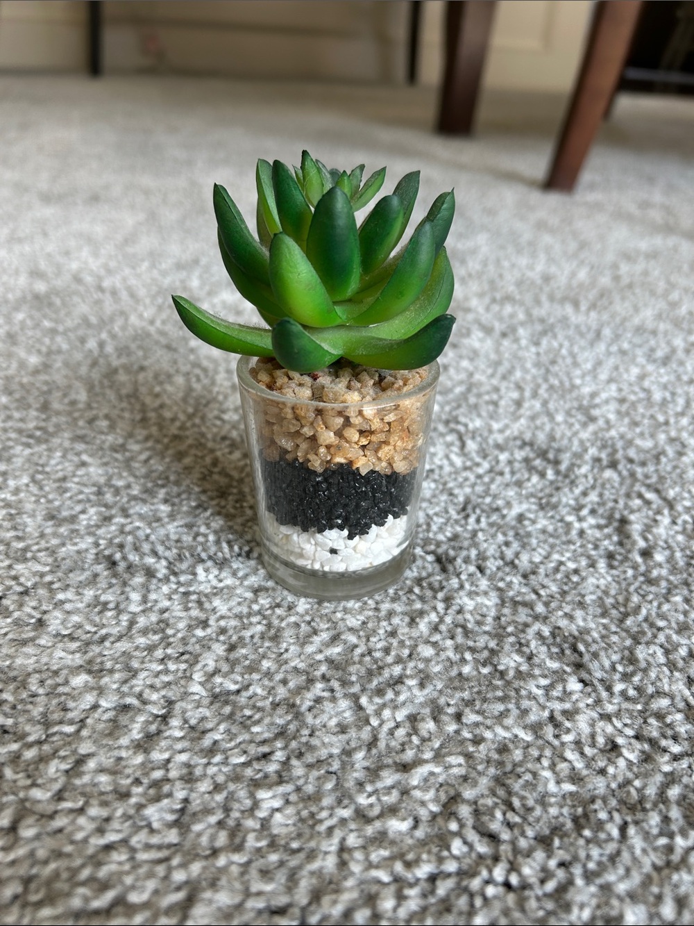 Lifelike Green Faux Succulent in Glass Vase